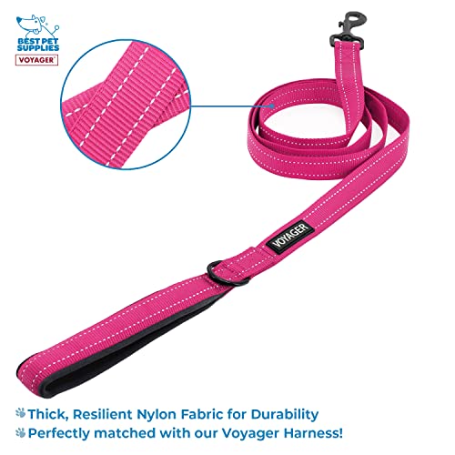 Best Pet Supplies Voyager Step-in Lock Pet Harness w Reflective Pet Leash Combo Set with Neoprene Handle 5ft - Supports Small, Medium and Large Breed Puppies/Cats - Fuchsia Set, XXXS - color: Harness Leash Set (Fuchsia), size: XXXS (Chest: 10.5 - 13")