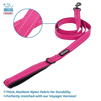 Best Pet Supplies Voyager Step-in Lock Pet Harness w Reflective Pet Leash Combo Set with Neoprene Handle 5ft - Supports Small, Medium and Large Breed Puppies/Cats - Fuchsia, XXS - color: Harness Leash Set (Fuchsia), size: XXS (Chest: 11.5 - 14")