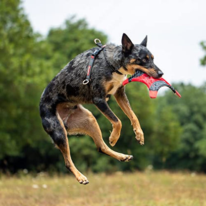 EzyDog Crosscheck No Pull Dog Training Harness – 2-in-1 Escape Proof Reflective Dog Harness for Easy Controlled Walks (XS, Red) - color: Red, size: XS