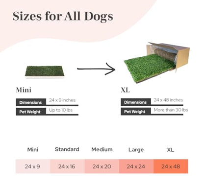 DoggieLawn XL - Real Grass Dog Pee Pad with Built-in Disposable Tray | No Cleaning, Odor-Free | Indoor Outdoor Potty Training for Puppies & Large Dogs | 48" x 24" - size: X-Large 24x48 inches