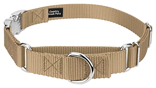 Country Brook Petz - Martingale Dog Collar - Heavy Duty Nylon Adjustable Martingale Dog Collar with Premium Buckle for Small Medium Large Breeds (5/8 Inch, Extra Small, Copper Gold) - color: Copper Gold, size: Extra Small (Pack of 1)