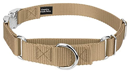 Country Brook Petz - Martingale Dog Collar - Heavy Duty Nylon Adjustable Martingale Dog Collar with Premium Buckle for Small Medium Large Breeds (5/8 Inch, Extra Small, Copper Gold) - color: Copper Gold, size: Extra Small (Pack of 1)