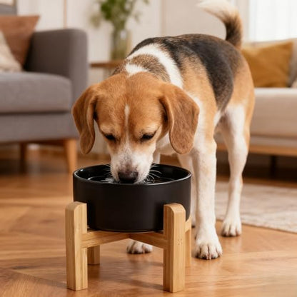 Elevated/Raised Ceramic Dog Bowl with Bamboo Stand，6 Inch 3.6 Cups Non Slip Heavy Weighted Single Pet Dish, for Small Medium Breed & Cats,Reduces Neck Strain Black - color: Black, size: 3.6 Cups - Medium