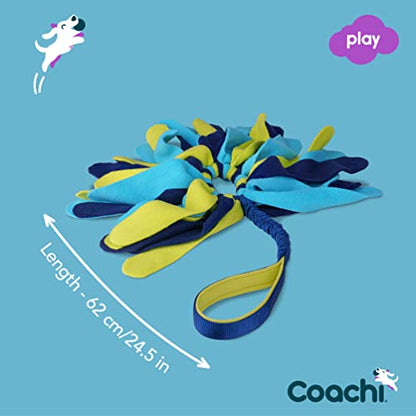 Coachi Tuggi Spider - Interactive Dog Toy for Tug of War & Play. Strong & Comfortable, Stretchy Bungee Handle, Reward Training, Interrupting Biting & Chewing. Ideal for Agility & Suitable for Puppies - style: Tuggi Spider