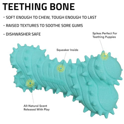 Playology Dog Toys | Teething Bone for Large Puppies and Young Dogs | Peanut Butter Scented Jumbo Dog Bone Chew Toy | Teething Puppy Essentials - size: Jumbo, style: Peanut Butter