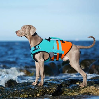Kuoser Dog Life Jacket with Reflective Strips, High Visibility Dogs Swim Vest with Rescue Handle, Adjustable Dog Life Vest for Swimming, Boating, Pool & Beach, Doggy Lifejacket Small Medium Large Dogs - color: Blue, size: Small (Chest Girth:16.9-21.3'')