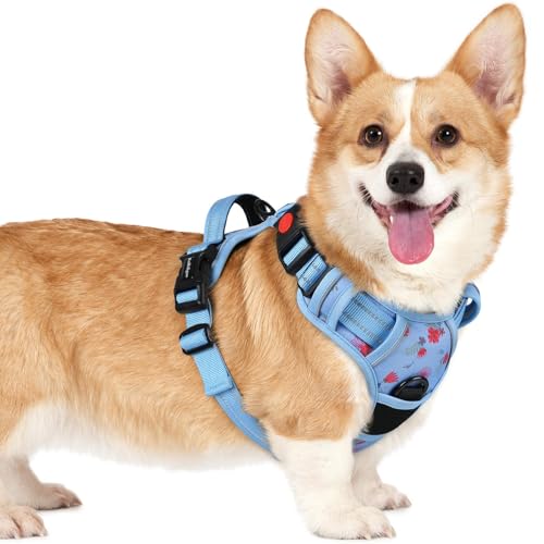 rabbitgoo Dog Harness Small Sized, No Pull Easy On & Off with 3 Buckles Pet Harness, Adjustable Soft Walking Vest with 2 Clips and Handle, Reflective for Small Dogs, Floral Blue, S - color: Floral Blue, size: Small