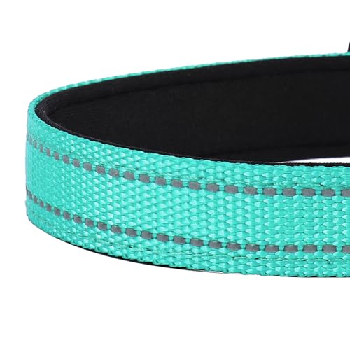 Reflective Dog Collar, Adjustable Soft Neoprene Padded Nylon Pet Collars with Buckle for Medium Dogs, Teal,M - color: Teal, size: Medium