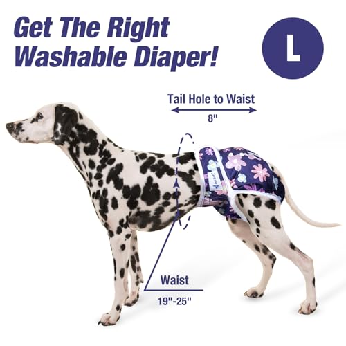 Pet Soft Washable Female Diapers (3 Pack) Female Dog Diapers, Comfort Reusable Doggy Diapers for Girl Dog in Period Heat (Bloom, L) - size: Large:19''-25''