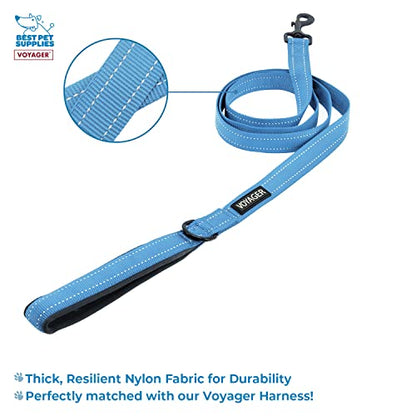 Voyager Step-in Air All Weather Mesh Harness and Reflective Dog 5 ft Leash Combo with Neoprene Handle, for Small, Medium and Large Breed Puppies by Best Pet Supplies - Blue, X-Small - color: Leash Harness Set (Baby Blue Base), size: XS (Chest: 13 - 14.5")