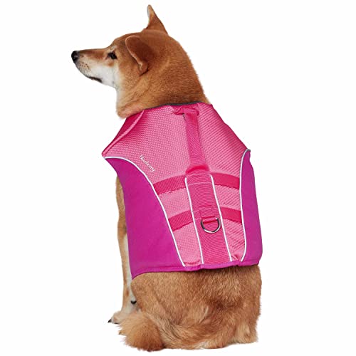 Blueberry Pet 2023 New Reflective Dog Life Jacket for Flotation, Pink and Fuchsia, X-Small, Fashion Pet Swimming Vest, Life Saver with Adjustable Strong Handle - color: Pink and Fuchsia, size: X-Small
