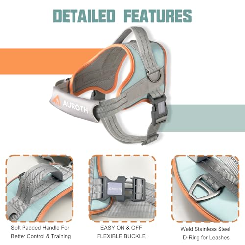 AUROTH Dog Harness and Leash Set, Soft Padded Service Dog Vest with 5.25FT Dog Leash, No Choke, Easy On Pet Vest, Adjustable Reflective No Pull Dog Harness Small Sized Dog, Easy Walking and Training - color: Macaron Blue, size: Small