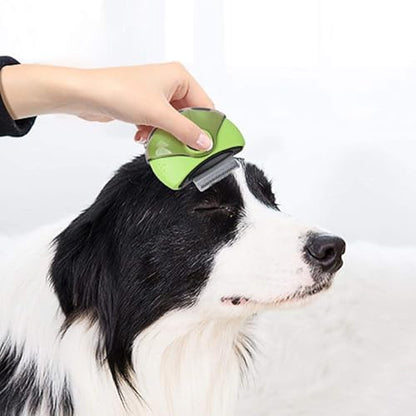Pet Republique Deshedding + Dematter + Pin Brush 3 in 1 Grooming Brush Tool for Small Dogs & Cats