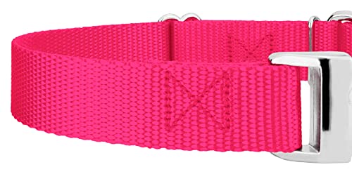 Country Brook Petz - Martingale Dog Collar - Heavy Duty Nylon Adjustable Martingale Dog Collar with Premium Buckle for Small Medium Large Breeds (5/8 Inch, Extra Small, Hot Pink) - color: Hot Pink, size: Extra Small (Pack of 1)