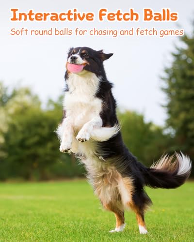 Squeaky Dog Toys, Interactive Soft Plush Puppy Toy Balls for Small Medium Breed, Cute Stuffed Pet Teething Ball Pack to Keep Dogs Busy - size: Medium