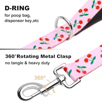 6ft Dog Leash with Two Padded Handles, Heavy Duty Strong Nylon Pet Leash with Soft Neoprene Handle for Small Medium Large Dogs, Cherry - color: Cherry, size: 1 in x 6 ft