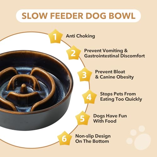 Havniva 0.9 Cup Elevated Slow Feeder Dog Bowls, 6.1” Dog Slow Feeding Bowls + 6.1” Ceramic Dog Water Bowls Set with Acacia Wood Stand, Dog Food Bowls Puzzle Feeder for Small Dogs Non-Slip Anti-choking - color: 2 x Starry Sky + Stand - A, size: S- 6.1inch