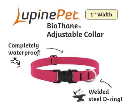LupinePet Waterproof Splash Dog Collar, Brick Red, 1-inch Wide, adjusts 16-28", Made with BioThane - color: Brick Red, size: Large: Adjusts from 16 to 28 in, 1-in wide