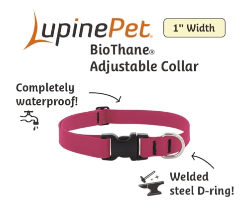 LupinePet Waterproof Splash Dog Collar, Brick Red, 1-inch Wide, adjusts 25-31", Made with BioThane - color: Brick Red, size: X-Large: Adjusts from 25 to 31 in, 1-in wide