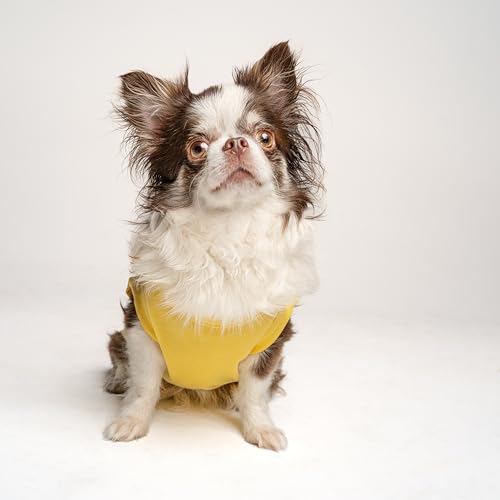 Firefighter K9 Fire Dept Dog Tee Shirt | Sleeveless Breeds | Firehouse | Rescue Squad | Halloween Costume | First Responder | Dalmation |Yellow, 3X-Large 1381 - color: Yellow, size: 3X-Large (30-40 lbs)
