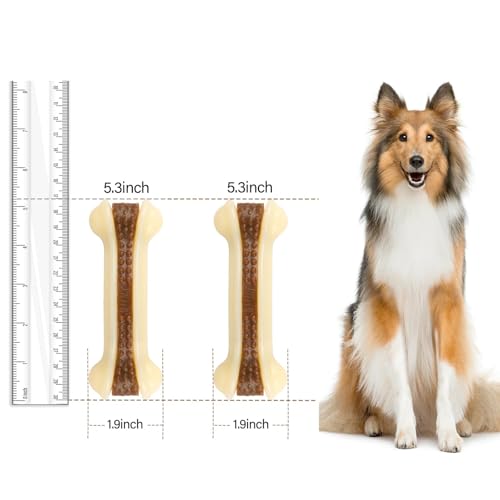 Dog Bones for Aggressive Chewers, 2 Pack Real Beef Flavor Puppy Teething Toys for Medium/Small Breed Dogs, Durable Nylon Dog Chew Toys - size: Medium+Medium