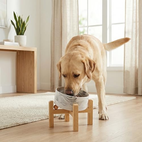 hjn Elevated Ceramic Dog Bowl 15°Slanted Raised Dog Bowl with Bamboo Stand for Small Medium Dogs and Cats, Pet Feeder -7.6-Cup (1800ml)-Marble Gray - color: Marble Gray, size: 7.6Cup