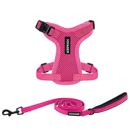 Best Pet Supplies Voyager Step-in Lock Pet Harness w Reflective Pet Leash Combo Set with Neoprene Handle 5ft - Supports Small, Medium and Large Breed Puppies/Cats - Fuchsia, XXS - color: Harness Leash Set (Fuchsia), size: XXS (Chest: 11.5 - 14")