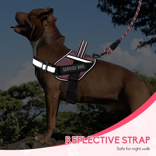 Service Dog Vest Harness and Leash Set, Animire in Training Dog Harness with 10 Dog Patches, Reflective Dog Leash with Soft Padded Handle for Small, Medium, Large, and Extra-Large Dogs (Rosy,XS) - color: Rosy, size: XS
