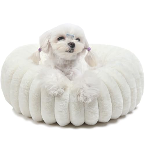 Small Cat Beds for Indoor Cats - Washable Round Kitten Bed, Cute Pumpkin Shape, Comfy Sleeping for Puppy, Small Dogs, Kitty - 19 Inch, Cream - color: Cream, size: 19"L x 19"W x 5"Th