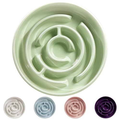 Ceramic Slow Feeder Dog Bowl,1.5 Cups Pet Slow Feeder for Small and Medium Breed,Puzzle Dog Food Dish,Anti-Gulping,Stop Bloat,Preventing Choking - color: Green - A