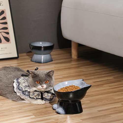 Nihow Elevated Cat Bowls,6 Inch Ceramic Raised Cat Food and Water Bowl Set | Slanted,Whisker Friendly,for Protecting Pet's Spine,Microwave & Dishwasher Safe ,Elegant Gray,6.8 OZ - color: Gray, size: 6.8 OZ+15.5 OZ