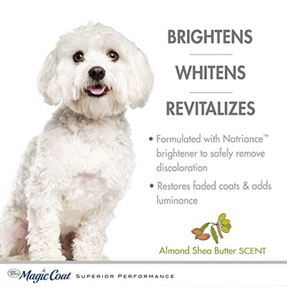 Four Paws Magic Coat Bright White Whitening Shampoo for Dogs with Natriance Brightener, Brightening Dog Wash, Removes Tear Stains, Almond Shea Butter Scent, 16 Ounce - size: 16 Ounces (1 Count), style: Bright White Dog Shampoo