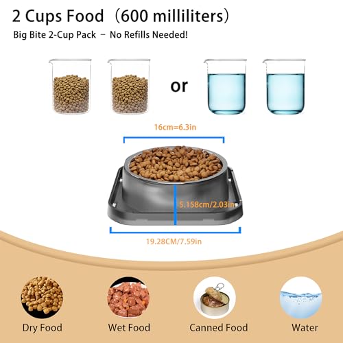 Stainless Steel Dog Bowls, Spill Proof Basic Dogs Bowls for Small Dogs Cats, 2 Cup Dog Food and Water Bowl, Non-Slip Puppy Feeder, Cat Bowl for Feeding Water - Starry Gray - size: Single