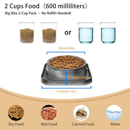 Stainless Steel Dog Bowls, Spill Proof Basic Dogs Bowls for Small Dogs Cats, 2 Cup Dog Food and Water Bowl, Non-Slip Puppy Feeder, Cat Bowl for Feeding Water - Starry Gray - size: Single
