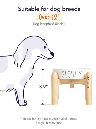 LE TAUCI PET Ceramic Elevated Slow Feeder Dog Bowl - 0.6 Cup Puzzle Feeder with Wooden Stand for Small Breeds, White Pet Dish - color: White+Stand, size: S-0.6 Cups