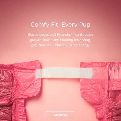Pet Parents® DiPees® Disposable Dog Diapers + Extendrs®, Leak Proof, Up to 75% Plant Based, Premium Disposable Dog Diapers Female (Princess, Medium (14-25"), 30ct) - color: Princess, size: Medium (14-25")