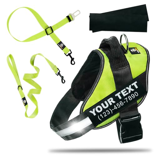 DOGGYKINGDOM Personalized Dog Harness and Leash Set with Seat Belt for Car, No Choke, Reflective, Adjustable Soft Padded Dog Vest Harness with Control Handle for Large Dogs, Green, L - color: Green, size: L (Chest: 26 - 31 in)