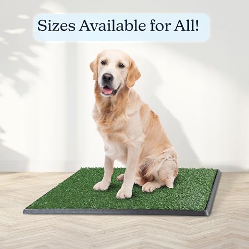 Artificial Grass Puppy Pee Pad for Dogs and Small Pets - 20x30 Inch, Reusable 4-Layer Turf Pads for Dogs with Tray - Indoor and Outdoor Fake Grass Potty Pet Supplies by PETMAKER - size: Large 4-Layer System