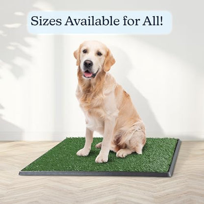 Artificial Grass Puppy Pee Pad for Dogs and Small Pets - 20x30 Inch, Reusable 4-Layer Turf Pads for Dogs with Tray - Indoor and Outdoor Fake Grass Potty Pet Supplies by PETMAKER - size: Large 4-Layer System