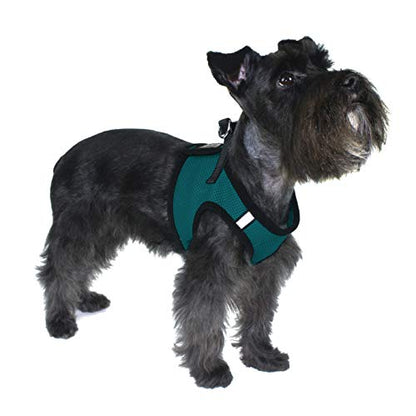 Dogline Boston Step in Mesh Dog Harness with Service Dog Patch No Choke Pet Vest Soft Gentle Padded Chest Halter for Puppies Small Medium and Large Dogs 21 to 24 inches Girth Dark Teal - color: Dark Teal, size: Girth 21 to 24"