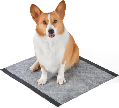 Glad for Pets Dual Action Freshness Activated Carbon Puppy Pads, Fragrance Release, Scented Odor Control, 6-Layer Leak-Proof, Pheromone Attractant, 23 x 23 Inch, 30 Count - 6 Pack - size: 30 Count (Pack of 6)