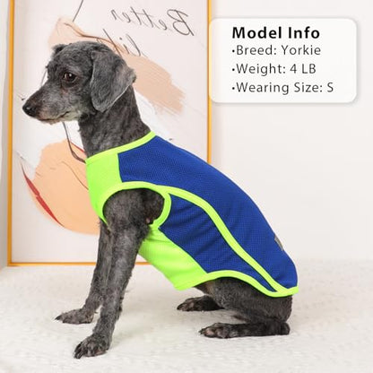 2 Pack Dog Clothes,Dog Shirts for Small Dogs,Quick Dry Dog Vest Boy Girl Summer, Puppy T-Shirt with Reflective Strip,Sun Protection Sleeveless Cool Breathable Pet Apparel(Blue and Turquoise, XS) - color: Blue and Turquoise, size: X-Small (Chest 12.2 in)