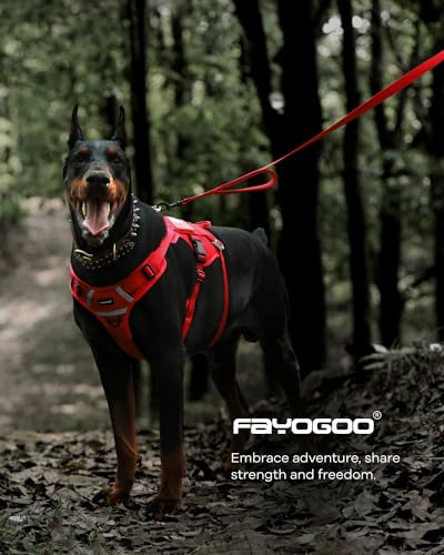 FAYOGOO Dog Leash 6FT - Heavy Duty Dog Leash with Traffic Padded Double Handles - Safety Control Traning Leash for Large Medium Dogs - color: Red