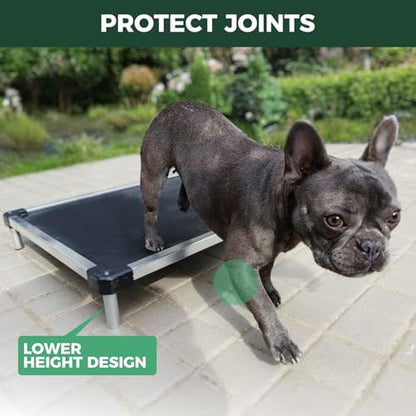 FXW TitanNest Chew-Proof Elevated Dog Bed, Raised Cot for Indoor/Outdoor/Camping Use, Durable & Waterproof Cooling Pet Bed for Extra-Small Dogs, 30.0" L x 22.0" W x 4.5" H, Black - size: X-Small Dog (30.0"L x 22.0"W x 4.5"H)