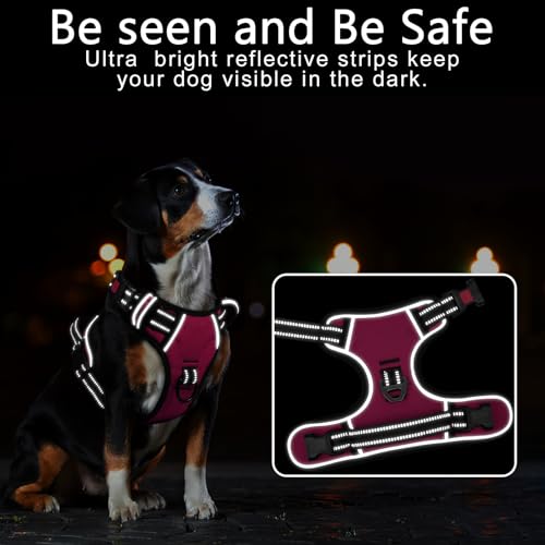 Timos No Pull Dog Harness, No Choke Front Lead Dog Reflective Harness, Adjustable Soft Padded Pet Vest with Easy Control Handle for Small Medium Large Dogs, S - color: Lock-Rosy, size: Small (Pack of 1)