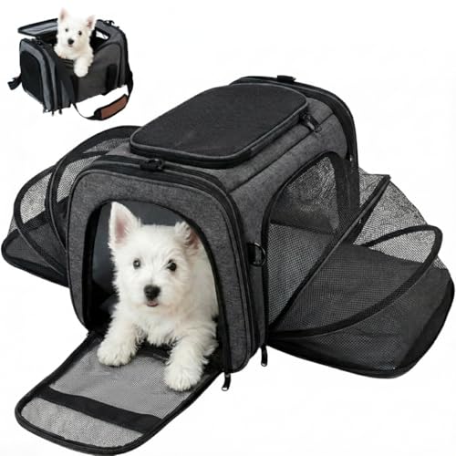 Soft Sided Pet Carrier for Small Dogs & Cats (Up to 9 lbs) – Airline Approved Underseat Travel Bag with Breathable Mesh, Luggage Strap & Washable Mat – Compact & Lightweight, Grey