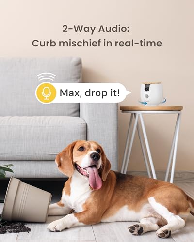 Furbo Mini 360° 2K QHD Pet Camera: Basic See, Talk & Toss Features, No AI Alerts, No Subscription Required, Dog & Cat Rotating Treat Dispenser w/Phone App, Smart Indoor Cam, 2-Way Audio & Night Vision - style: Mini 360° Camera