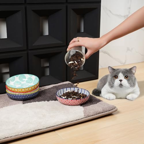 Selamica 세라믹 고양이 사료 그릇 4개 세트, 14cm(5.6인치) 너비의 얕은 고양이 그릇/음식과 물용 접시, 다양한 색상 - color: 다양한 색상, size: 5.6 Inch, Set of 4