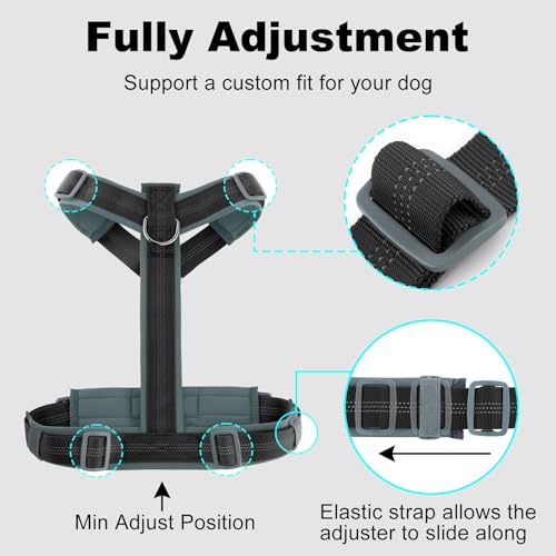 Plutus Pet No Pull Dog Harness, Adjustable Nylon Harness with Soft Padding, Reflective and Heavy Duty Dog Harness for Small, Medium, Large Dogs(Black, M) - color: Black, size: M
