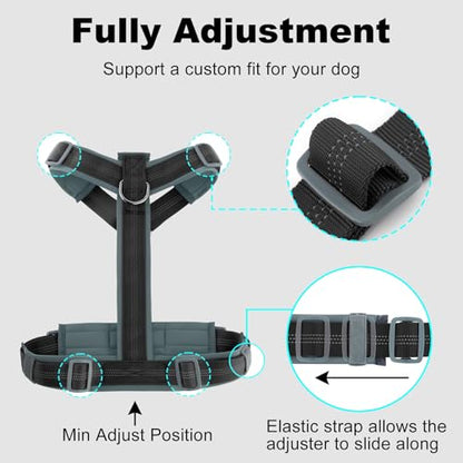 Plutus Pet No Pull Dog Harness, Adjustable Nylon Harness with Soft Padding, Reflective and Heavy Duty Dog Harness for Small, Medium, Large Dogs(Black, M) - color: Black, size: M